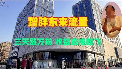 蹭胖东来流量，三天涨万粉，收益直接起飞-山河网创