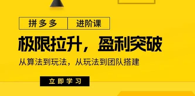 拼多多·进阶课：极限拉升/盈利突破：从算法到玩法 从玩法到团队搭建-18节-山河网创