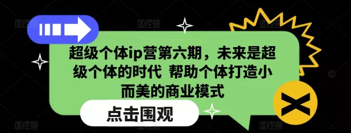超级个体ip营第六期，未来是超级个体的时代  帮助个体打造小而美的商业模式-山河网创
