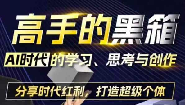 高手的黑箱：AI时代学习、思考与创作-分红时代红利，打造超级个体-山河网创