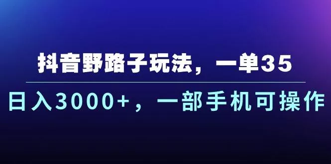 抖音野路子玩法，一单35.日入3000+，一部手机可操作-山河网创