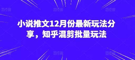 小说推文12月份最新玩法分享，知乎混剪批量玩法-山河网创