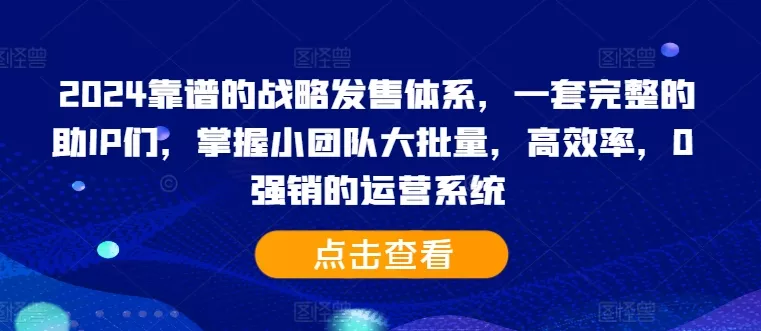 2024靠谱的战略发售体系，一套完整的助IP们，掌握小团队大批量，高效率，0 强销的运营系统-山河网创