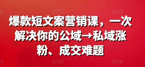 爆款短文案营销课，一次解决你的公域→私域涨粉、成交难题-山河网创