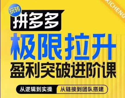 拼多多极限拉升盈利突破进阶课，​从算法到玩法，从玩法到团队搭建，体系化系统性帮助商家实现利润提升-山河网创