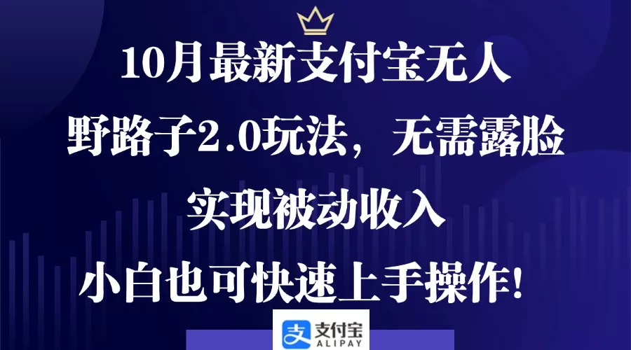 10月最新支付宝无人野路子2.0玩法，无需露脸，实现被动收入，小白也可…-山河网创