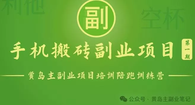 手机搬砖小副业项目训练营1.0，实测1小时收益50+，一部手机轻松日入100+-山河网创