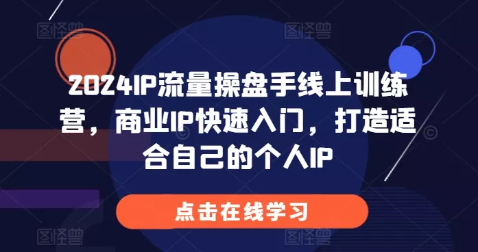 2024IP流量操盘手线上训练营，商业IP快速入门，打造适合自己的个人IP-山河网创