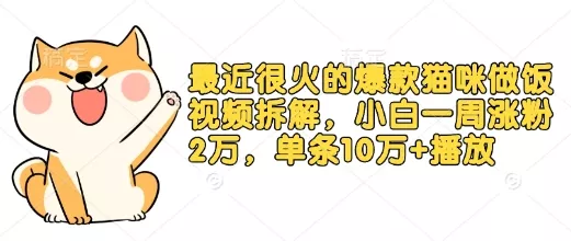 最近很火的爆款猫咪做饭视频拆解，小白一周涨粉2万，单条10万+播放(附保姆级教程)-山河网创