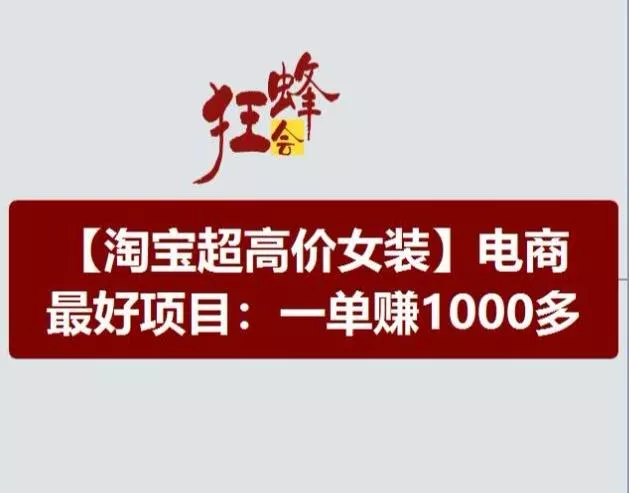淘宝超高价女装项目，电商最好赛道，一单赚1000多-山河网创
