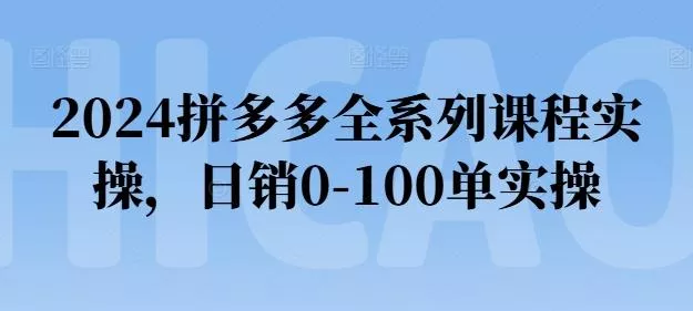 2024拼多多全系列课程实操，日销0-100单实操【必看】-山河网创