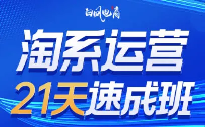 淘系运营21天速成班(更新9月)-山河网创