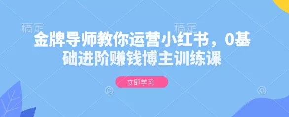 金牌导师教你运营小红书，0基础进阶赚钱博主训练课-山河网创