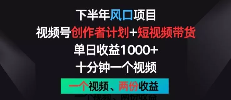 下半年风口项目，视频号创作者计划+视频带货，一个视频两份收益，十分钟一个视频【揭秘】-山河网创