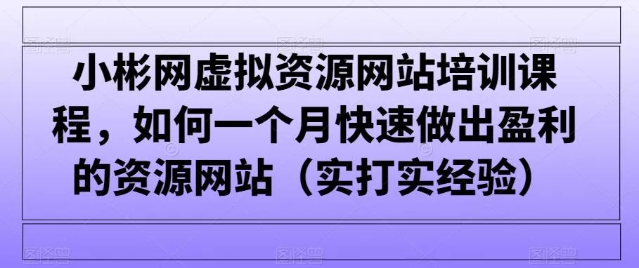 小彬网虚拟资源网站培训课程，如何一个月快速做出盈利的资源网站(实打实经验)-山河网创