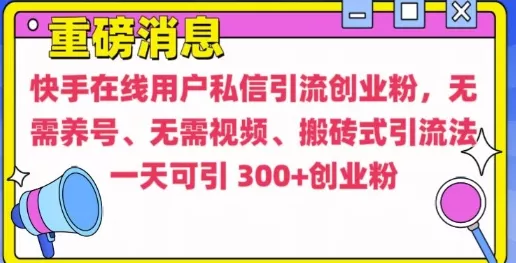 快手最新引流创业粉方法，无需养号、无需视频、搬砖式引流法【揭秘】-山河网创