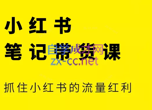 张宾·小红书笔记带货课(更新9月)-山河网创