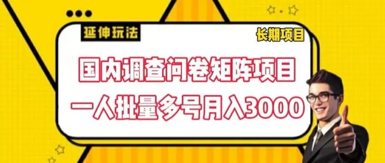 国内调查问卷矩阵项目，一人批量多号月入3000【揭秘】-山河网创