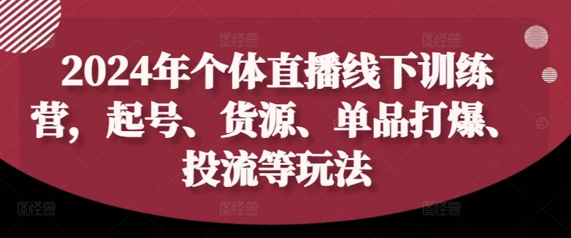 2024年个体直播训练营，起号、货源、单品打爆、投流等玩法-山河网创