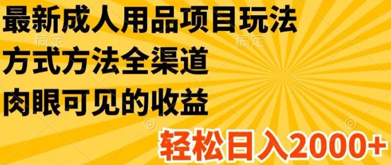 最新成人用品项目玩法，方式方法全渠道，轻松日入2K+【揭秘】-山河网创