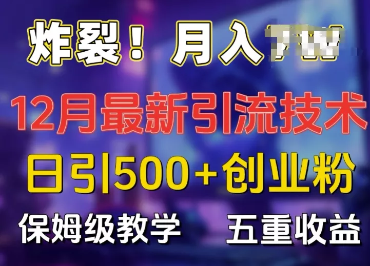 炸裂!揭秘12月最新日引流500+精准创业粉，多重收益保姆级教学-山河网创