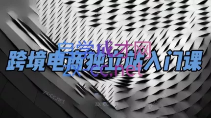 团长·跨境电商独立站入门课(2小时精华)-山河网创