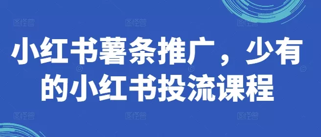 小红书薯条推广，少有的小红书投流课程-山河网创