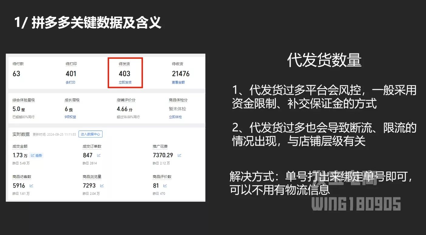 纪主任·拼多多年费会员(更新2025年1月)-山河网创