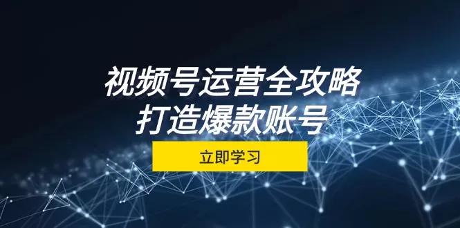 视频号运营全攻略，从定位到成交一站式学习，视频号核心秘诀，打造爆款…-山河网创