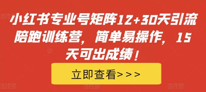 小红书专业号矩阵12+30天引流陪跑训练营，简单易操作，15天可出成绩!-山河网创