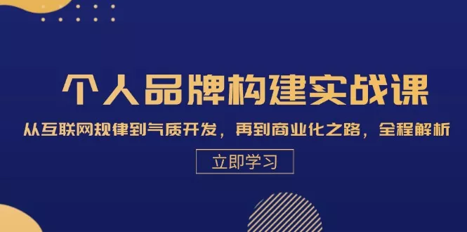 个人品牌构建实战课：从互联网规律到气质开发，再到商业化之路，全程解析-山河网创