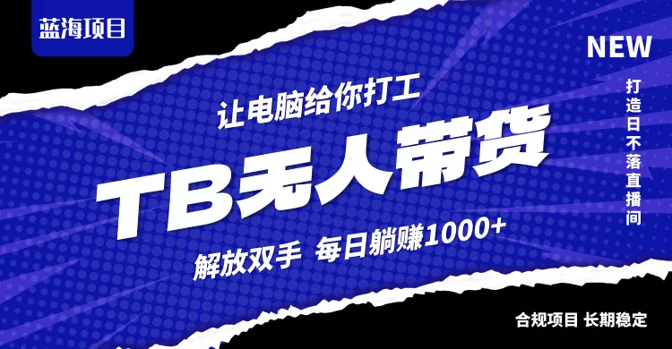 淘宝无人直播最新玩法，不违规不封号，轻松月入3W+-山河网创