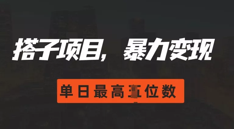 2024搭子玩法，0门槛，暴力变现，单日最高破四位数【揭秘】-山河网创