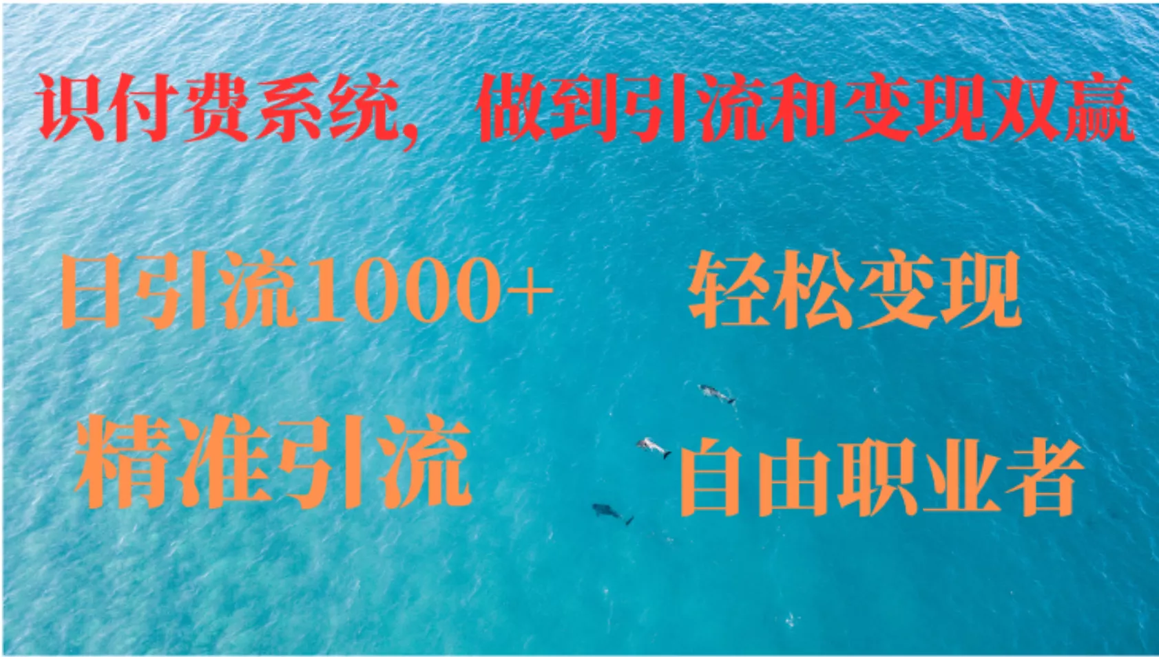 如何搭建自己的知识付费系统，做到引流和变现双赢-山河网创