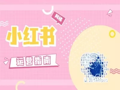 小红书运营指南，没有套路，全是经验-山河网创