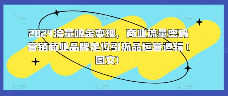 2024流量吸金变现，商业流量密码营销商业品牌定位引流品运营逻辑(图文)-山河网创