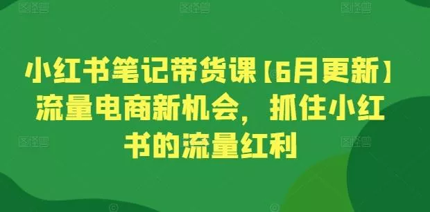 小红书笔记带货课【6月更新】流量电商新机会，抓住小红书的流量红利-山河网创