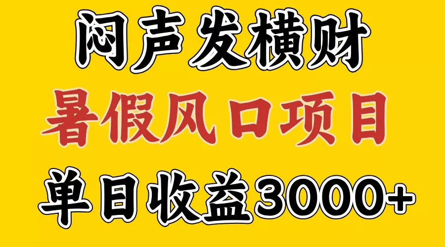 30天赚了7.5W 暑假风口项目,比较好学,2天左右上手