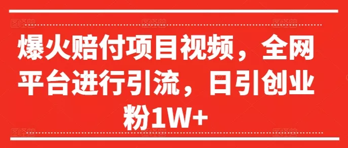 爆火赔付项目视频，全网平台进行引流，日引创业粉1W+【揭秘】-山河网创