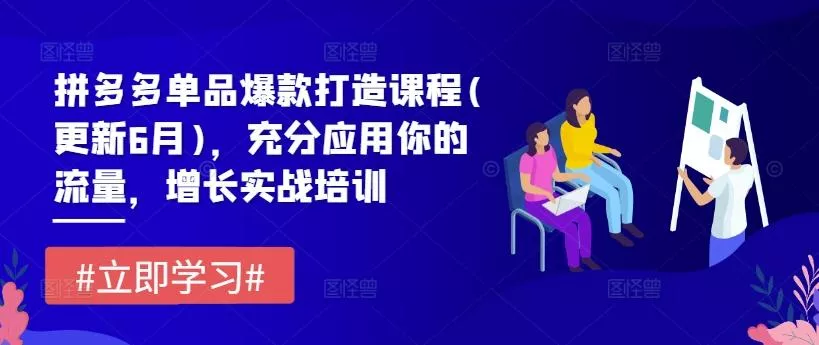 拼多多单品爆款打造课程(更新6月)，充分应用你的流量，增长实战培训-山河网创