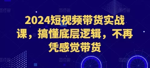 2024短视频带货实战课，搞懂底层逻辑，不再凭感觉带货-山河网创
