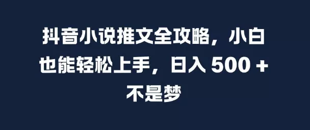 抖音小说推文全攻略，小白也能轻松上手，日入 5张+ 不是梦【揭秘】-山河网创