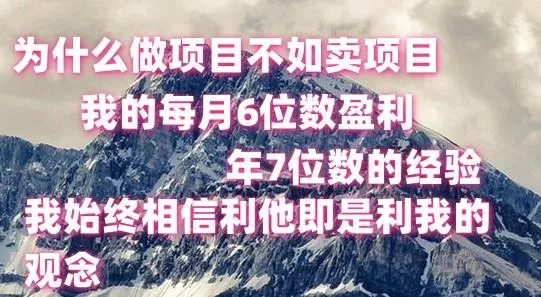 做项目不如卖项目，每月6位数盈利，年7位数经验-山河网创