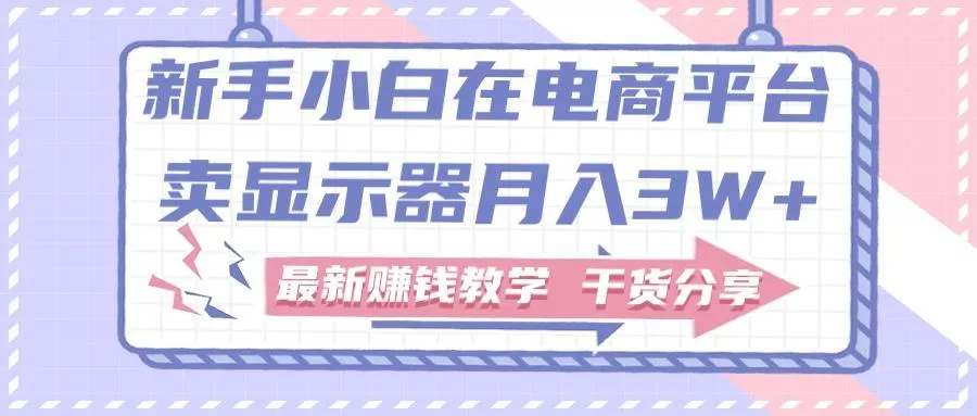 新手小白如何做到在电商平台卖显示器月入3W+，最新赚钱教学干货分享-山河网创