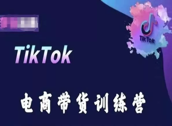 TikTok电商带货训练营，跟随时代潮流，跨境掘金-山河网创