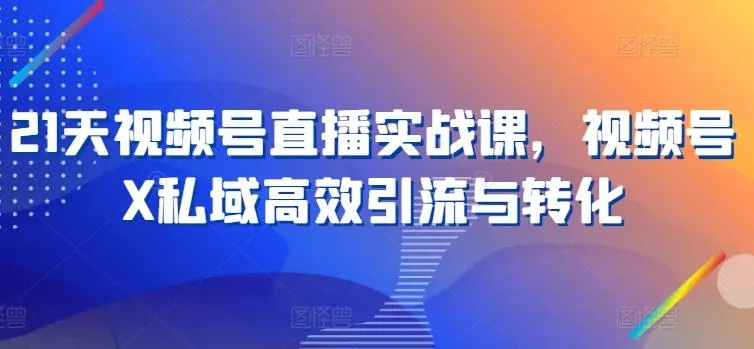 21天视频号直播实战课，视频号X私域高效引流与转化-山河网创