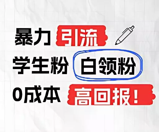 暴力引流学生粉白领粉，吊打以往垃圾玩法，0成本，高回报-山河网创