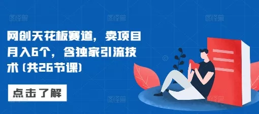 网创天花板赛道，卖项目月入6个，含独家引流技术(共26节课)-山河网创