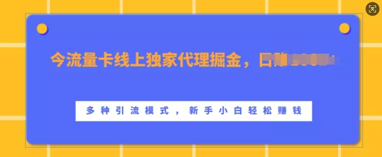 流量卡线上独家代理掘金，日入1k+ ，多种引流模式，新手小白轻松上手【揭秘】-山河网创