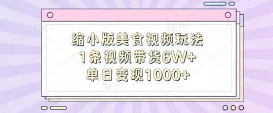缩小版美食视频玩法，1条视频带货6W+，单日变现1k-山河网创
